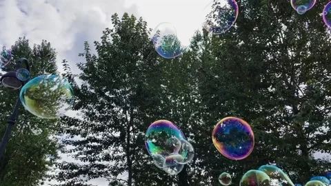 Huge soap bubbles are flying against the background of green trees and blue sky Stock Footage 215966728