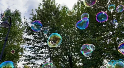 Huge soap bubbles are flying against the background of green trees and blue sky 스톡 동영상 217384262