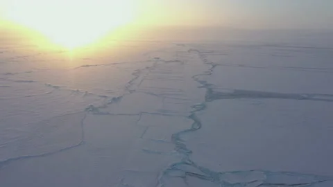 Huge space covered with snow. White field on sun. Aerial view. Stock Footage 234652296