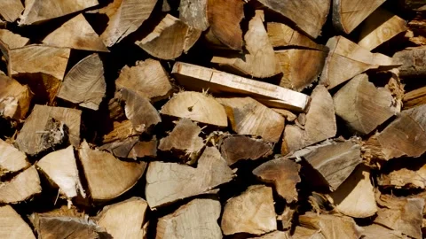 Huge stack of dried beech firewood panoramic shot Stock Footage 258820936