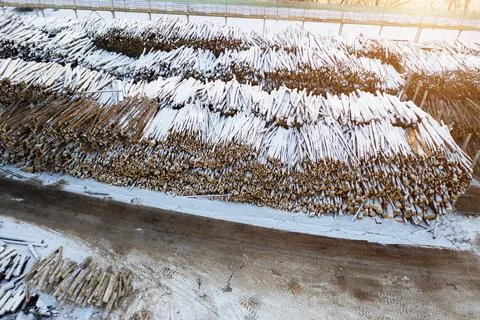 A huge stack of logs at the factory top view. Stock Photos