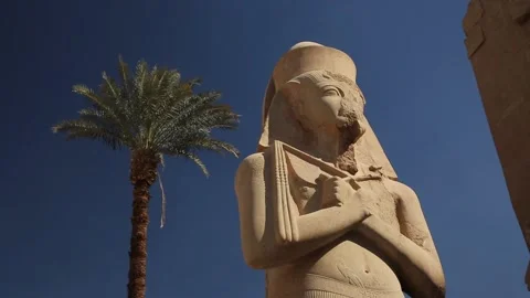 Huge statue of a pharaoh with a palm tree in the background, ancient temple Stock Footage 154253174