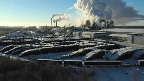 Huge stocks of logs at the wood processing plant Stock Footage 169859022