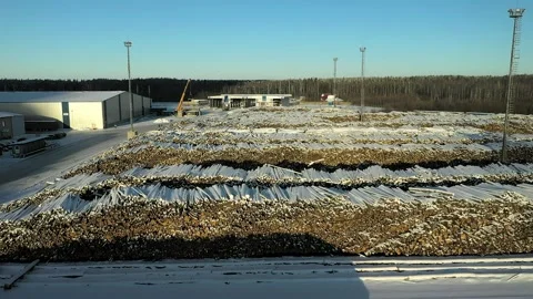Huge stocks of logs at the wood processing plant Stock Footage 169872414