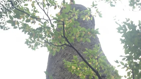 Huge Stone in Deep Forest Mountains – Crimea , Alushta , Valley Of Ghosts Stock Footage 83281781