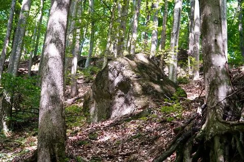 Huge stone in the forest, forest ghost stone, forest, trees, nature, background Stock Photos