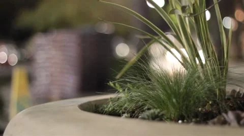 Huge stone pot with plants in public Stock Footage 47465663