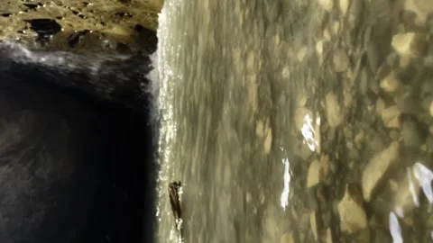 A huge stone stuck in a mountain gorge along which a mountain stream flows Stock Footage 254511816