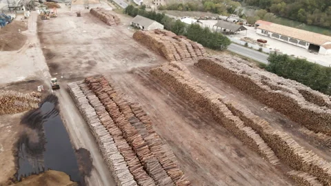 Huge storage of tree trunks at the wood factory. Wood processing plant and Stock Footage 221550221