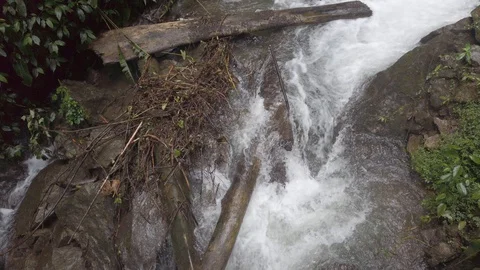 Huge stream during rain in jungle forest in Mindo, Ecuador Stock Footage 128159079