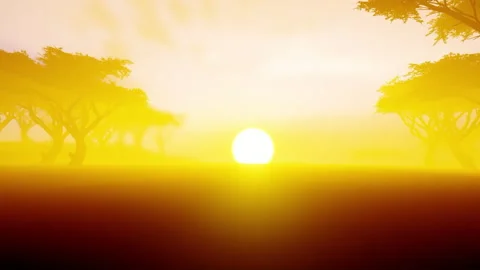 Huge sun and trees surrounded by heat and light Stock Footage 130327155