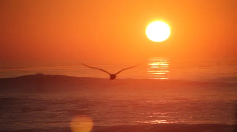 Huge sun setting over big waves Video stock 34464646