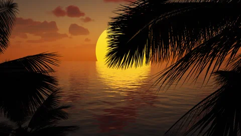 Huge sun sunset over the sea or ocean with palm trees and clouds. Video stock 252685740