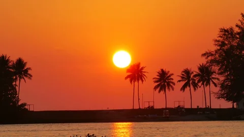 Huge sunset behind coconut leaves tree,moving leaves branch tree, little wave Stock Footage 128587719