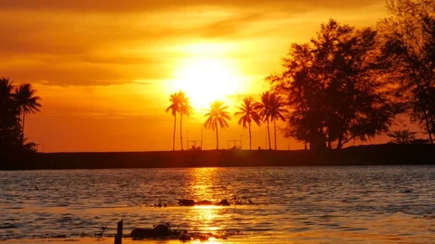 Huge sunset behind coconut leaves tree,moving leaves branch tree, little wave Stock Footage 128940997