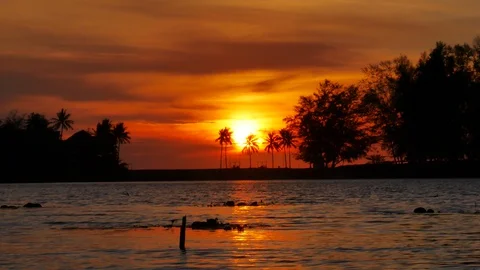 Huge sunset behind coconut leaves tree,moving leaves branch tree, little wave Stock Footage 128941005