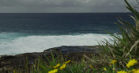 Huge Surf Breaking on Rocks 2k Stock Footage 38030171
