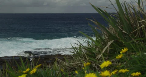 Huge Surf Breaking on Rocks 2k Stock Footage 38034619