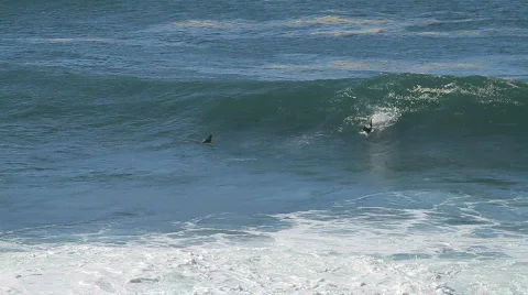 Huge Surf / Surfing Stock Footage 810953
