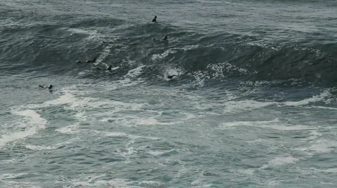 Huge Surf / Surfing Stock Footage 811088