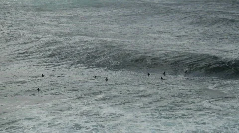 Huge Surf / Surfing Stock Footage 811118