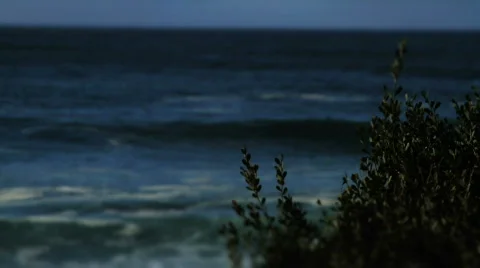 Huge Surf / Surfing Stock Footage 811204
