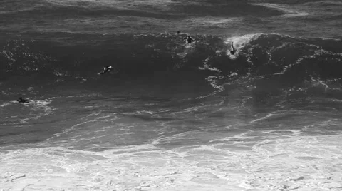 Huge Surf / Surfing Slo Motion B/W Stock Footage 889331