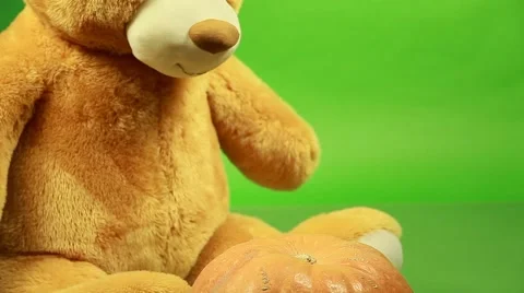 Huge teddy bear moves on a green background and play with pumpkin Stock Footage 63210117