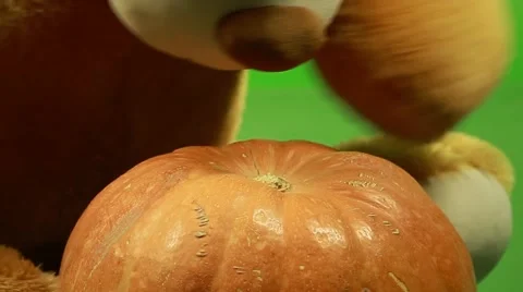 Huge teddy bear moves on a green background and play with pumpkin Stock Footage 63210119