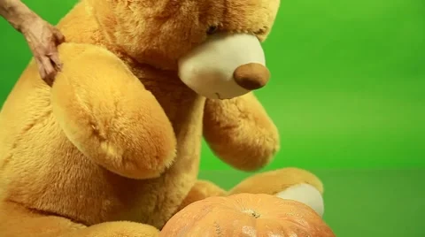 Huge teddy bear moves on a green background and play with pumpkin Stock Footage 63210120