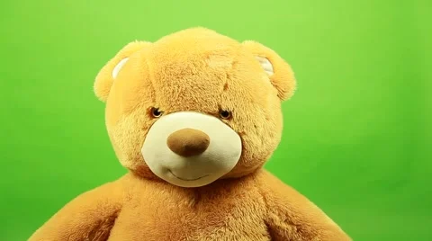 Huge teddy bear moves on a green background Stock Footage 63210125