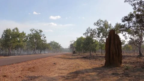 Huge termite hill next to road amid bush fire smoke Stock Footage 71229733