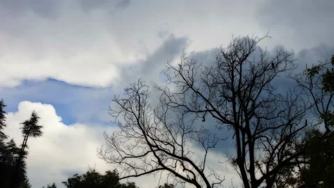 Huge Time-lapse landscape clouds animated vector illustration with separate l Video stock 157298051