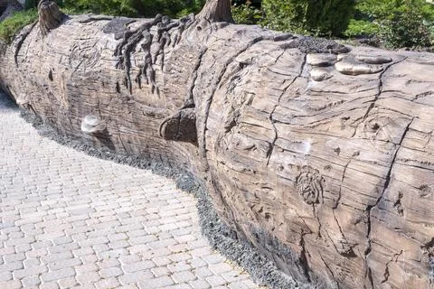 A huge tree trunk lying on the ground Stock-Fotos