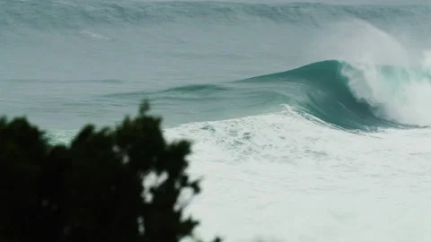 Huge turquoise wave in ocean during sunny day with bush in foreground Stock Footage 163268451
