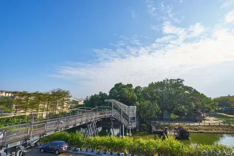 Huge vine root of banyan trees covered building 스톡 사진