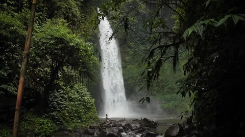 Huge waterfall in the jungle Stock Footage 270207395