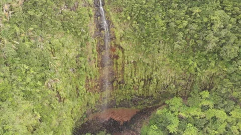 Huge waterfall Mauritius Stock Footage 300175345
