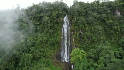 Huge Waterfall in Rainforest Distant Stock Footage 218389285