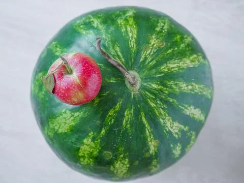 Huge watermelon and tiny apple. Opposites attract concept. Foto stock