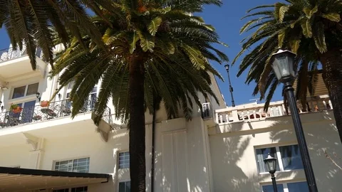 A huge white multi-storey estate in palm trees. Herceg Novi, Mon Stock Footage