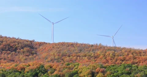 Huge Windmil and fall color Stock Footage