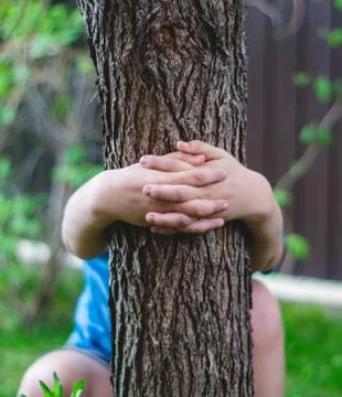 Hugged a tree Stock Photos