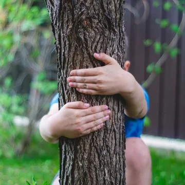 Hugged a tree Stock Photos