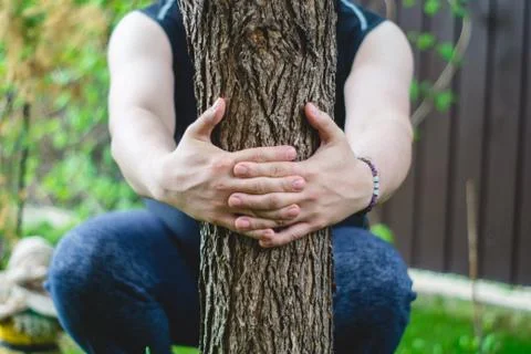 Hugged a tree Stock-Fotos