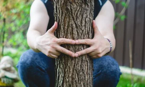 Hugged a tree Stock Photos