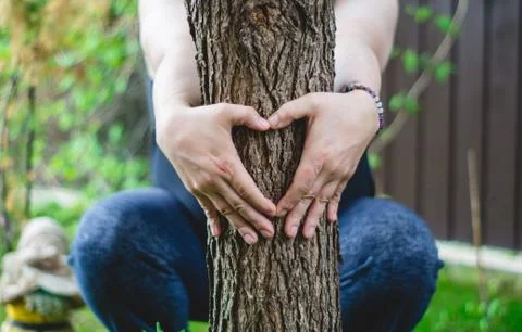 Hugged a tree Stock-Fotos