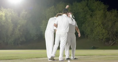 Hugging after wicket falls, male teammates on pitch below floodlights and Stock Footage 335364704