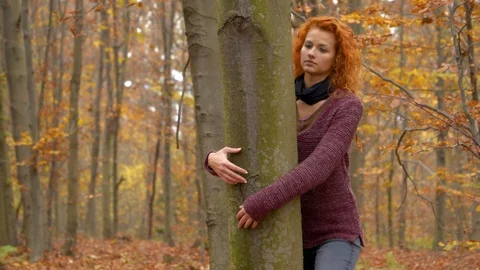 Hugging the leaf trees Stock Footage 86202688