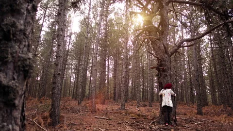 Hugging tree 動画素材 130483748